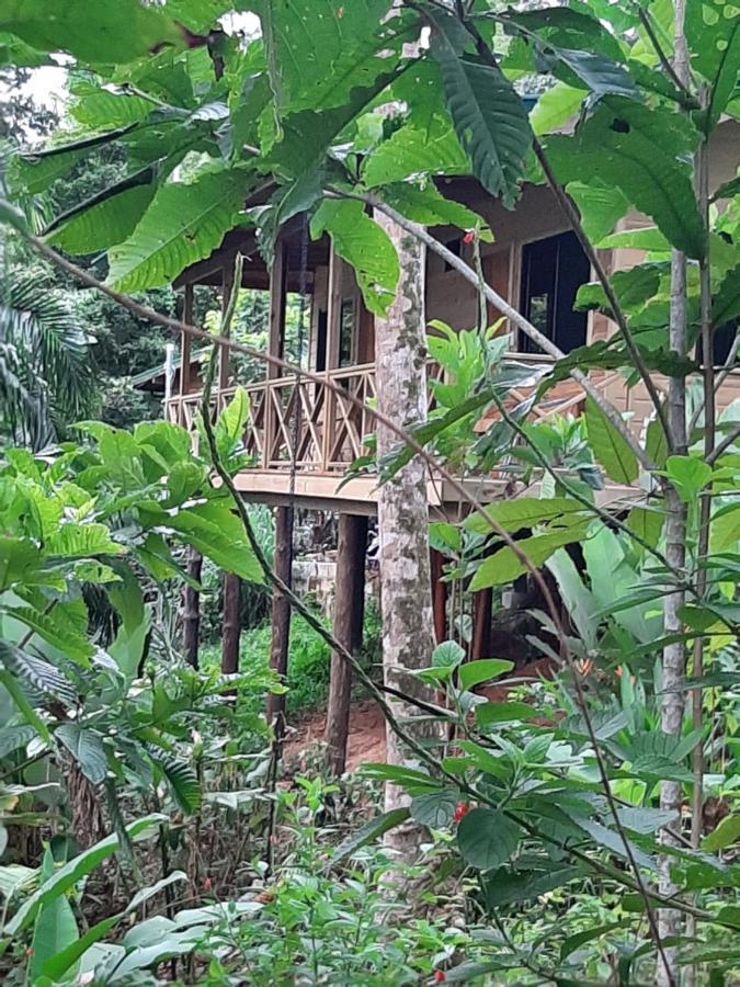 Forest Lodge Uvita Exterior photo
