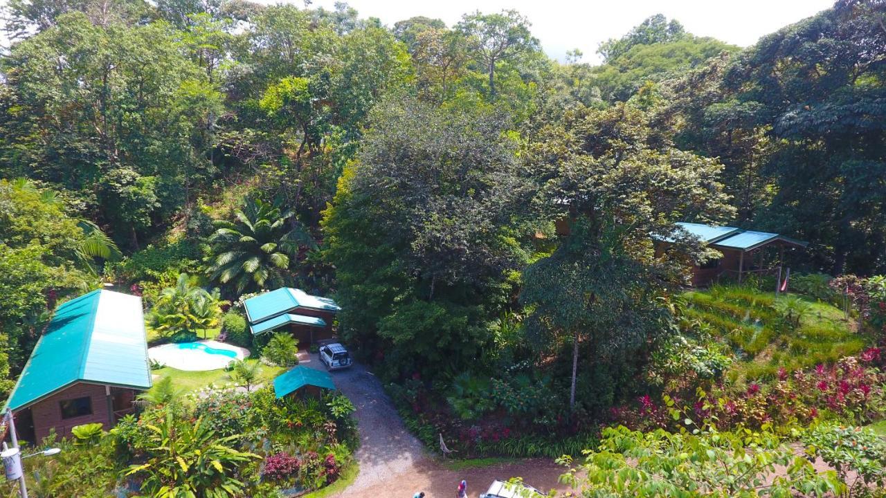 Forest Lodge Uvita Exterior photo